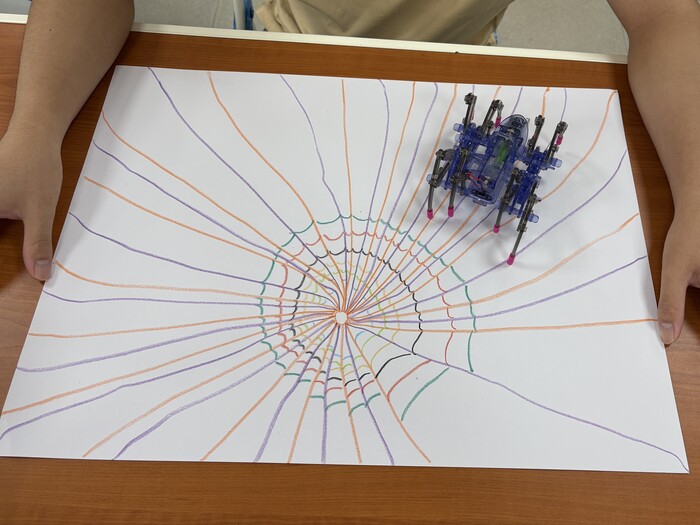 20250704-特教學生藍染交織的文化與科技科學營-6.蜘蛛網繪畫與智慧仿生蜘蛛完成品圖片